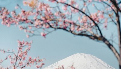 10 Reasons Why April Is the Best Time To Visit Japan