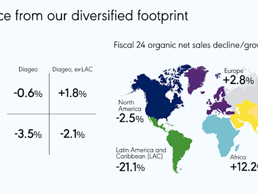 Down 10% on FY24 results, surely the Diageo share price is now a no-brainer bargain?