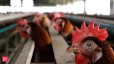 Government holds high-level meet on avian flu threat, experts call for enhanced surveillance - The Economic Times