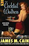 The Cocktail Waitress