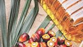 India's July edible oil imports to surge to record on robust palm buying