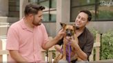 Christy Carlson Romano Helps a Couple Who Can't Decide on a Pet Find the Ideal Rescue Dog