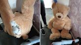 Insólito: un ladrón se escondió en un oso de peluche para escapar de la policía