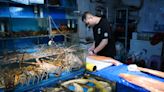 Japan says no radioactivity found in Fukushima fish as first batch of reactive water tested