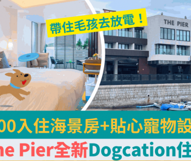 西貢The Pier酒店全新寵物Staycation套票！人均$600起與毛孩入住豪華露台房 連雙人早餐+貼心寵物設施