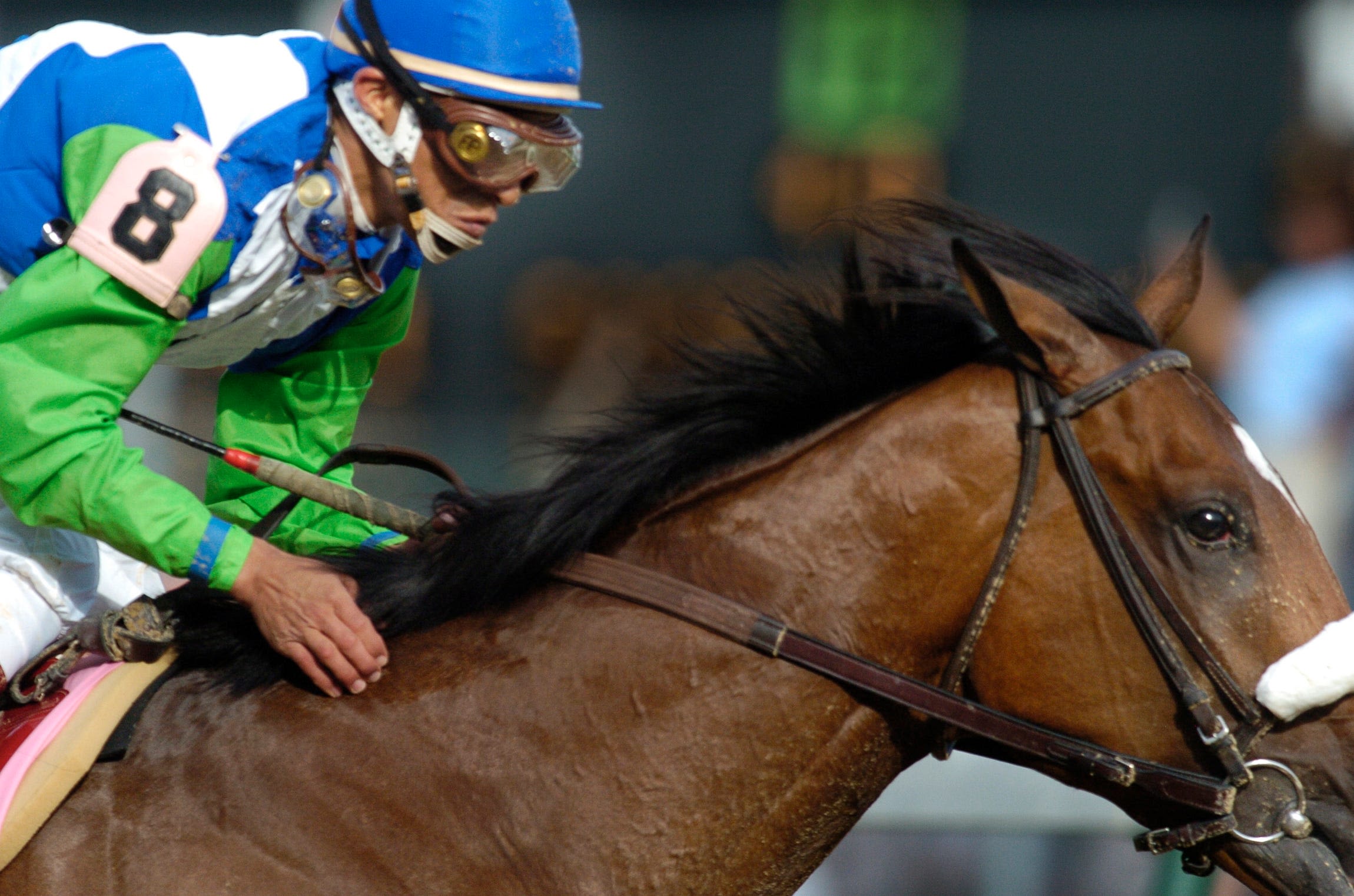 Historic horses: 32 who have raced in the Kentucky Derby - and at Delaware Park