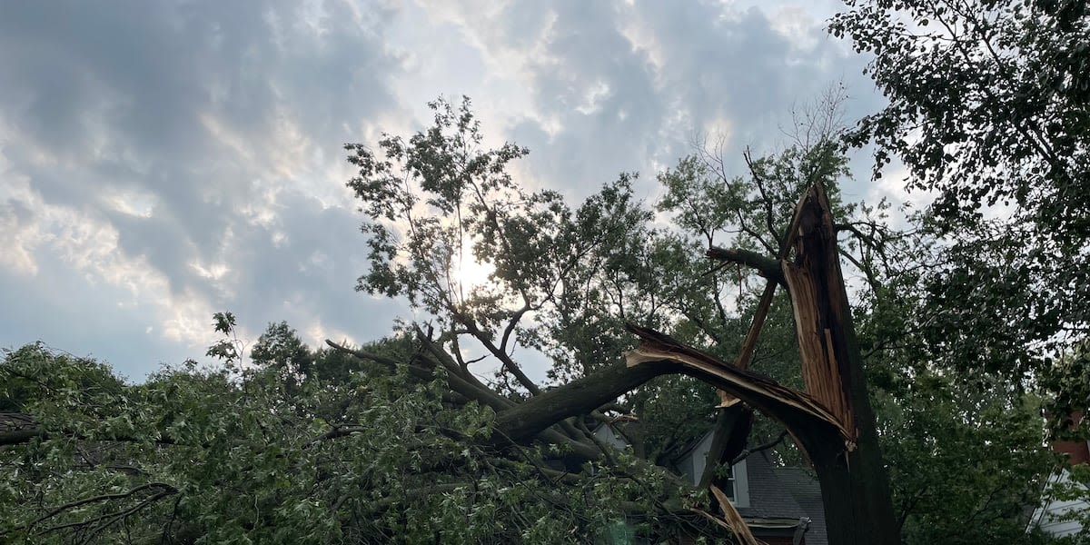 Fairway family displaced after storm knocks tree down on their home