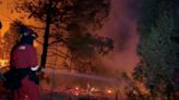 西班牙野火燒毀4000公頃林地 白目遊客騎自行車去參觀