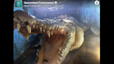 Video shows moment crocodile grabs man’s leg in Australia river, then takes his dog