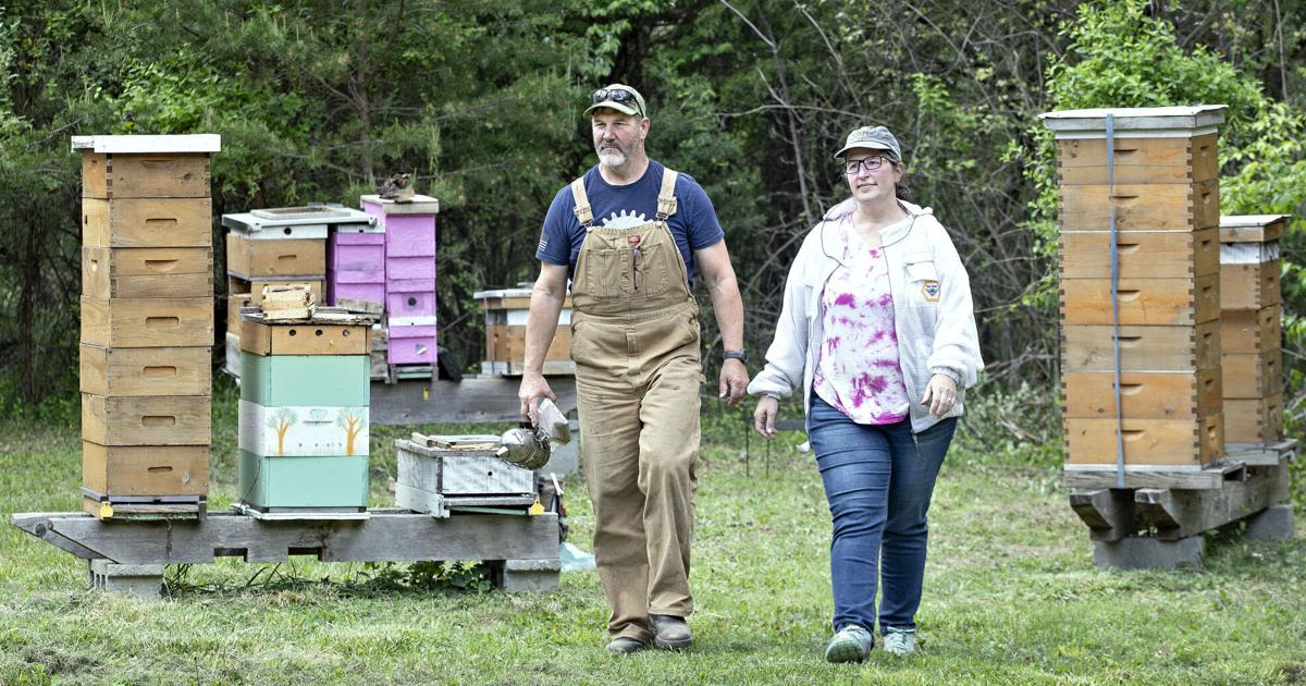 Saving the bees: Fort Valley beekeepers fight climate change, invasive mite