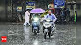 Delhi rejoices as trailer of monsoon releases | Delhi News - Times of India