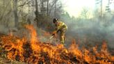 2 of 3 Triangle, NC, counties at ‘very high’ fire danger risk. How to stay safe.