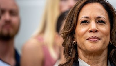 Kamala Harris Brings ‘Palpable’ Energy To One Of The Election’s Most Important Issues