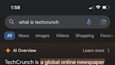 What are Google’s AI Overviews good for?