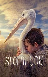 Storm Boy (2019 film)