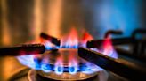 Don’t Freak Out About Your Gas Stove (Yet)