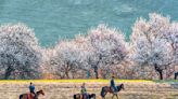 Springtime blossoms add cheer to tourism
