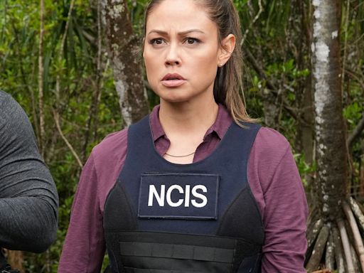 Vanessa Lachey Feels "Blindsided" by NCIS: Hawai'i Cancellation