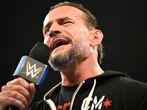 WWE NXT Star Praises CM Punk's Backstage Influence - Wrestling Inc.