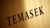 Temasek expects India growth to remain firm over next 2 yrs, recovery in pvt consumption - ET EnergyWorld