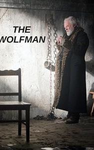 The Wolfman (film)