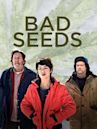 Bad Seeds