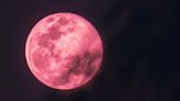 Luna Rosa del 23 de abril: a qué hora y cómo verla en Argentina | Sociedad