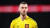 David de Gea sets realistic contract demands as efforts are made to make return with Fiorentina