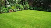 Gardening expert shares tips for keeping lawn green