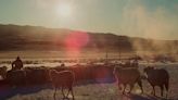 ‘The Great Basin’ Review: A Documentarian’s Intimate Portrait of Rural Nevada