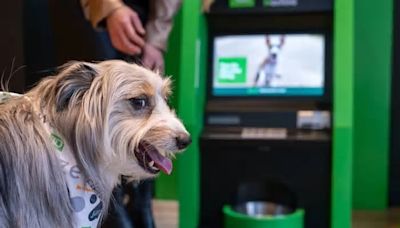 At this South Philly bank, the newest ATM has gone to the dogs. And they love it.