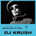 Vision: DJ Krush (Bassrider)