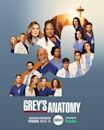 Grey's Anatomy season 20