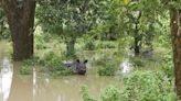 Assam, Manipur floods leave 48 dead; over 16 lakh displaced in Assam, major rivers flow above danger level