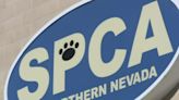 Northern Nevada SPCA loses Supreme Court bid to block steel factory construction