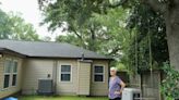 A Biloxi woman was worried she’d have to choose: home insurance or her Live oak tree