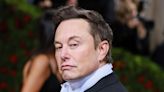 A brief history of Elon Musk's pets, including a 'nasty, brutish' Yorkshire Terrier named after a 17th century philosopher, and a cat called Schrödinger