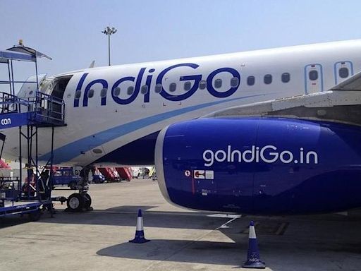 Why did IndiGo share price fall 5% post Q1 2024-25 results?