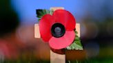 Remembrance Day: Where does the money you spend on Poppy Appeal actually go?