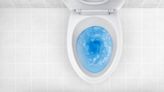 Here's Why I Just Poured Dish Soap Into My Toilet (Hint: It Has Nothing to Do With Cleaning)