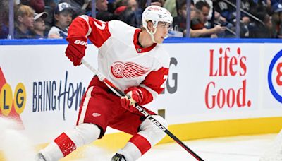 NHL Won't Be Handed to Red Wings Top Prospect