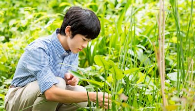 日本悠仁親王成年、修法後首位成年皇族 皇族費將翻3倍至915萬日圓