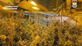 Desmantelada una casa-invernadero con más de 11 kilos de cannabis en la pedanía caravaqueña de La Encarnación