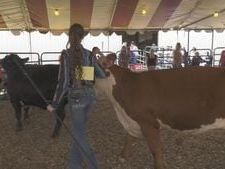 Community turns out for Derry Township Agricultural Fair