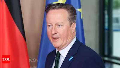 When ex-UK PM David Cameron fell for prank video call, revealed info on Ukraine - Times of India