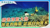 屏息的極限 認識自由潛水｜潛進深藍大海｜華視新聞雜誌