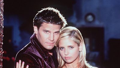 Sarah Michelle Gellar Loves Working on the Same TV Lot as David Boreanaz — and His Parking Stand