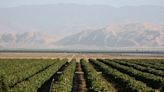 California drought raises red flags for agriculture