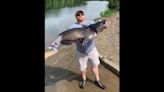 Angler reels in West Virginia record 2 years in a row with huge catfish, officials say