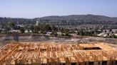 U.S. single-family housing starts slump to eight-month low in June